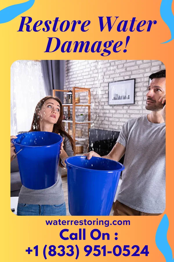 water restoration Premier Water Removal Force Lanesville