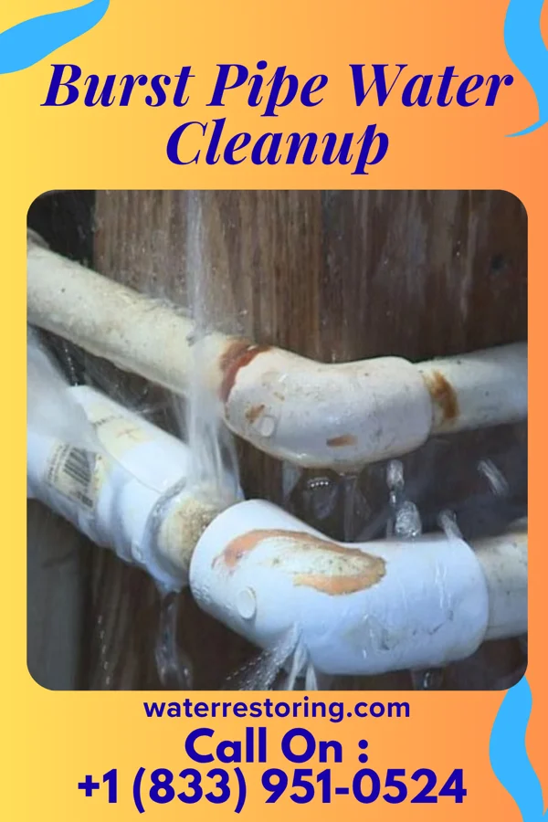 Burst Pipe Water Cleanup in Lanesville, IN