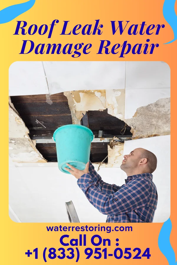Roof Leak Water Damage Repair in Lanesville, IN