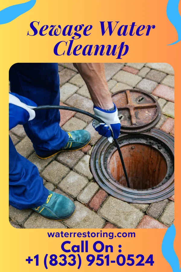 Sewage Water Cleanup in Lanesville, IN